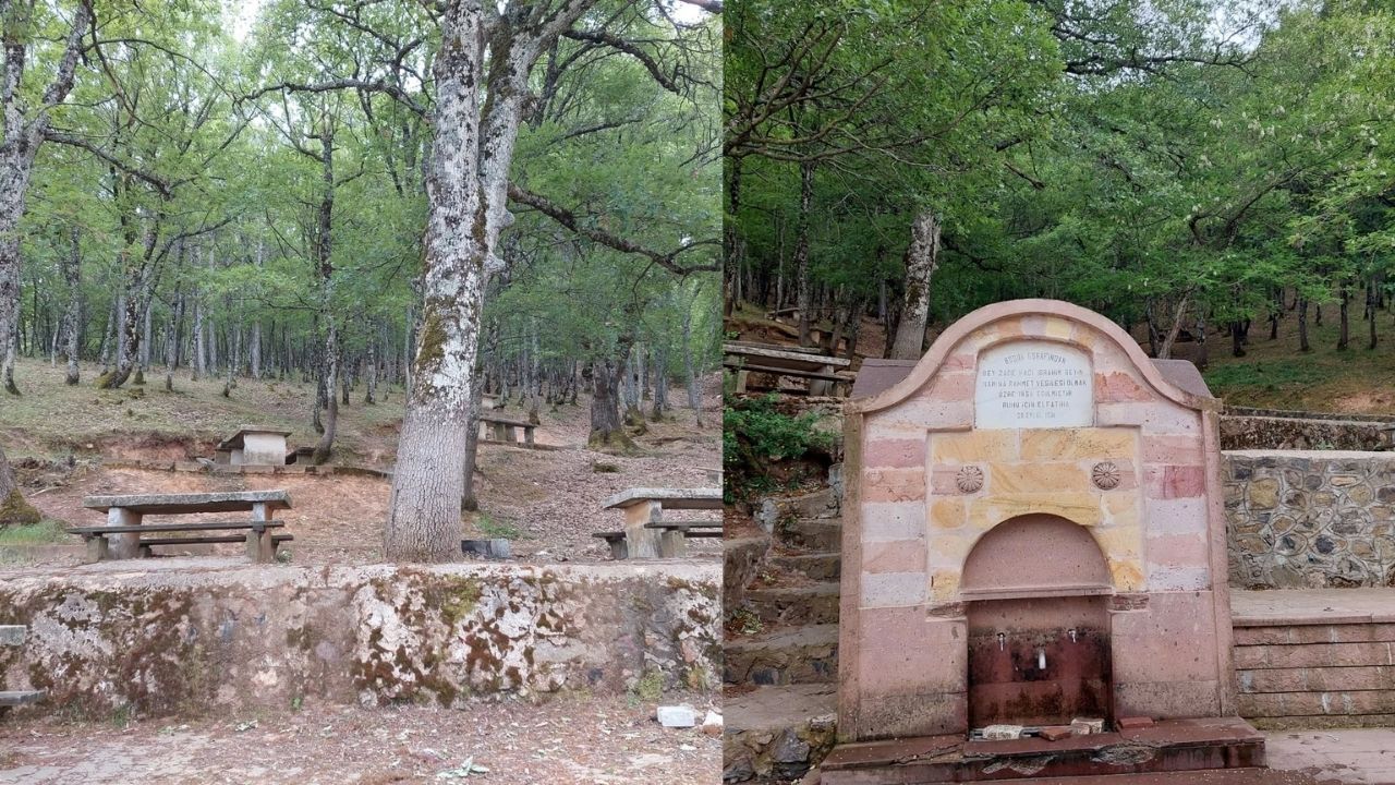 Kahvi (2)