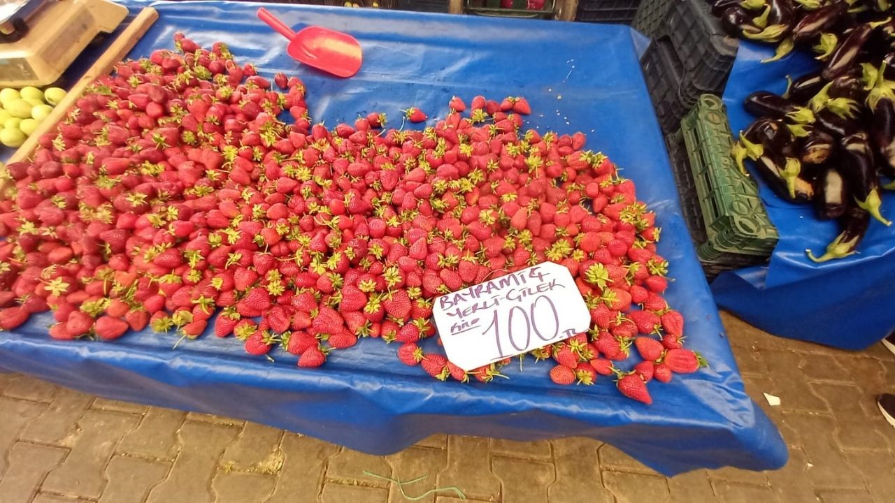 Pazarda 100 (4)