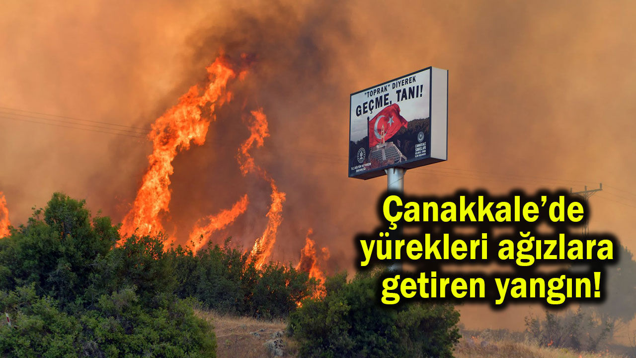 Çanakkale’de yürekleri ağızlara getiren yangın