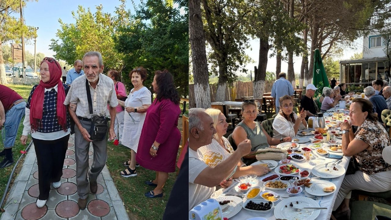 Çınarlar (2)