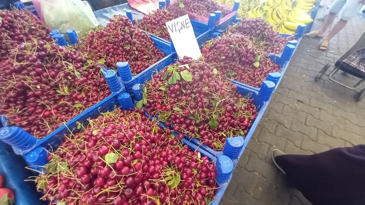 Cuma Pazarı (1)