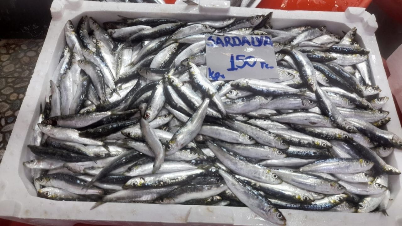 Iogıuıl