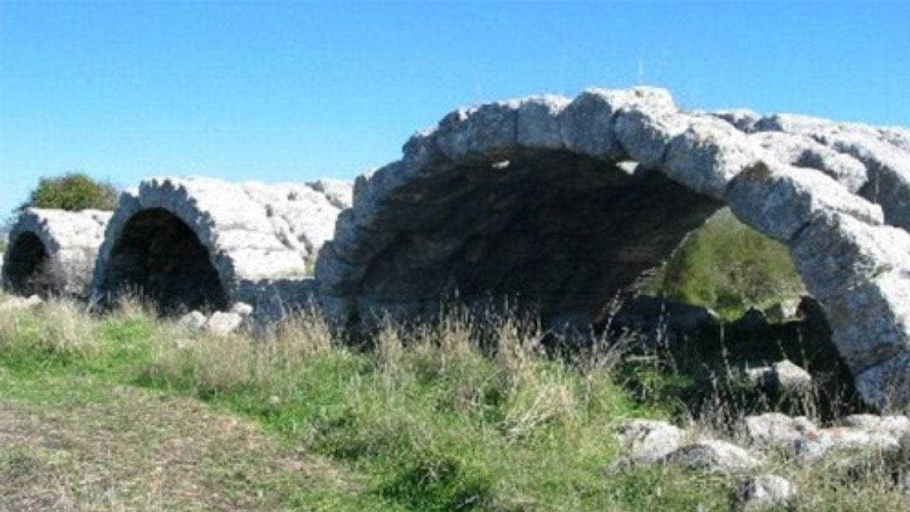 Nşoşoşoşn