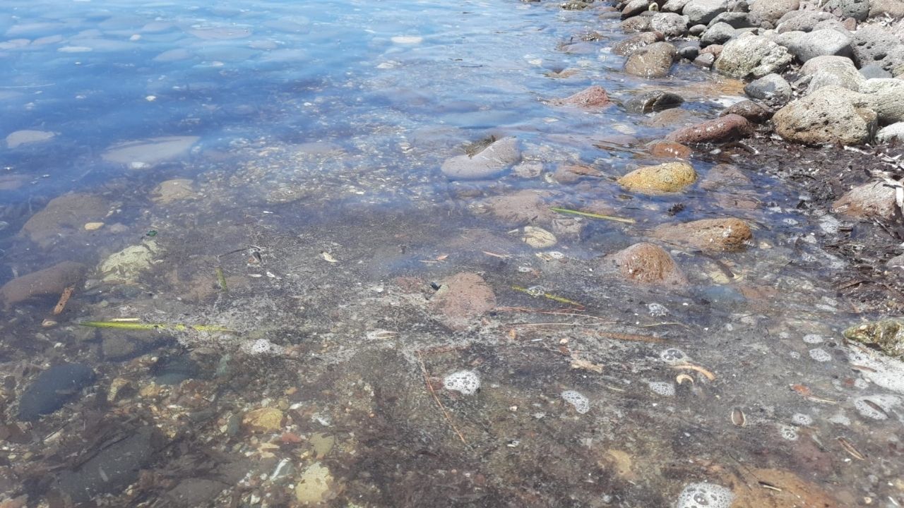 Oışhoşıış