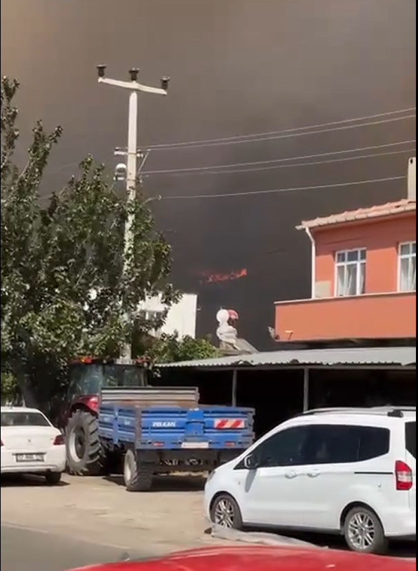 Tuzlakoyy