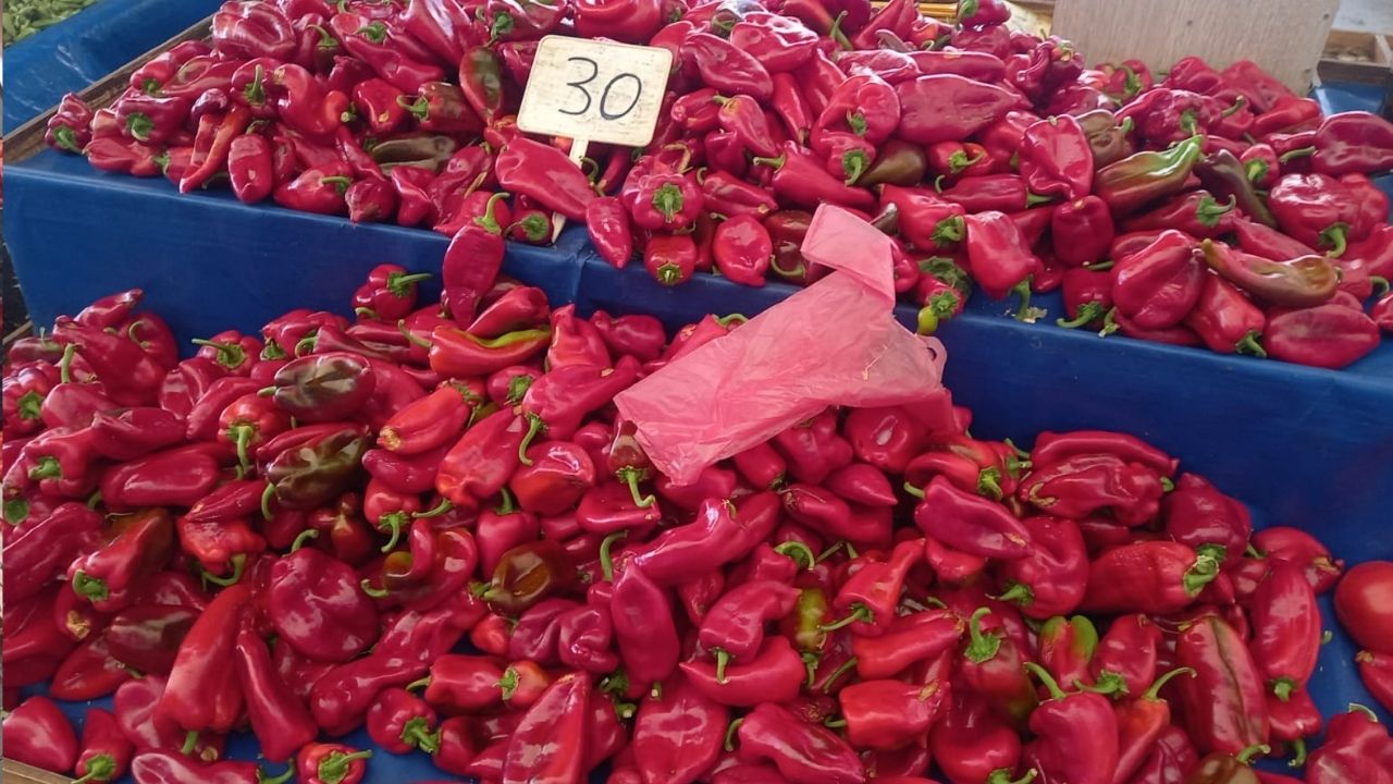 Bir Başlık Ekleyin (2)-158