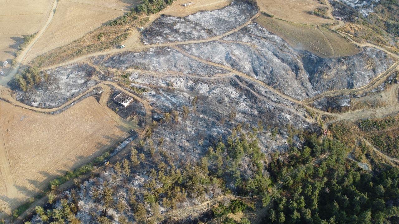 Bir Başlık Ekleyin (2)-161