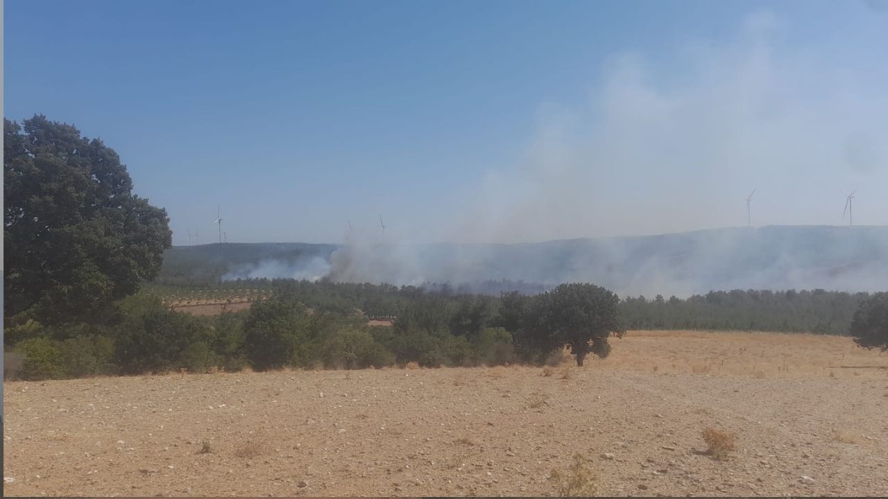 Bir Başlık Ekleyin (3)-103