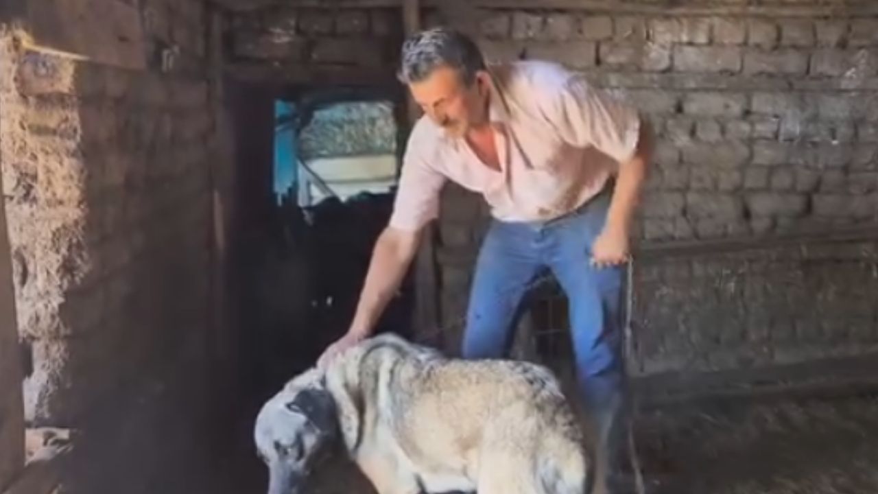 Bir Başlık Ekleyin (3)-114