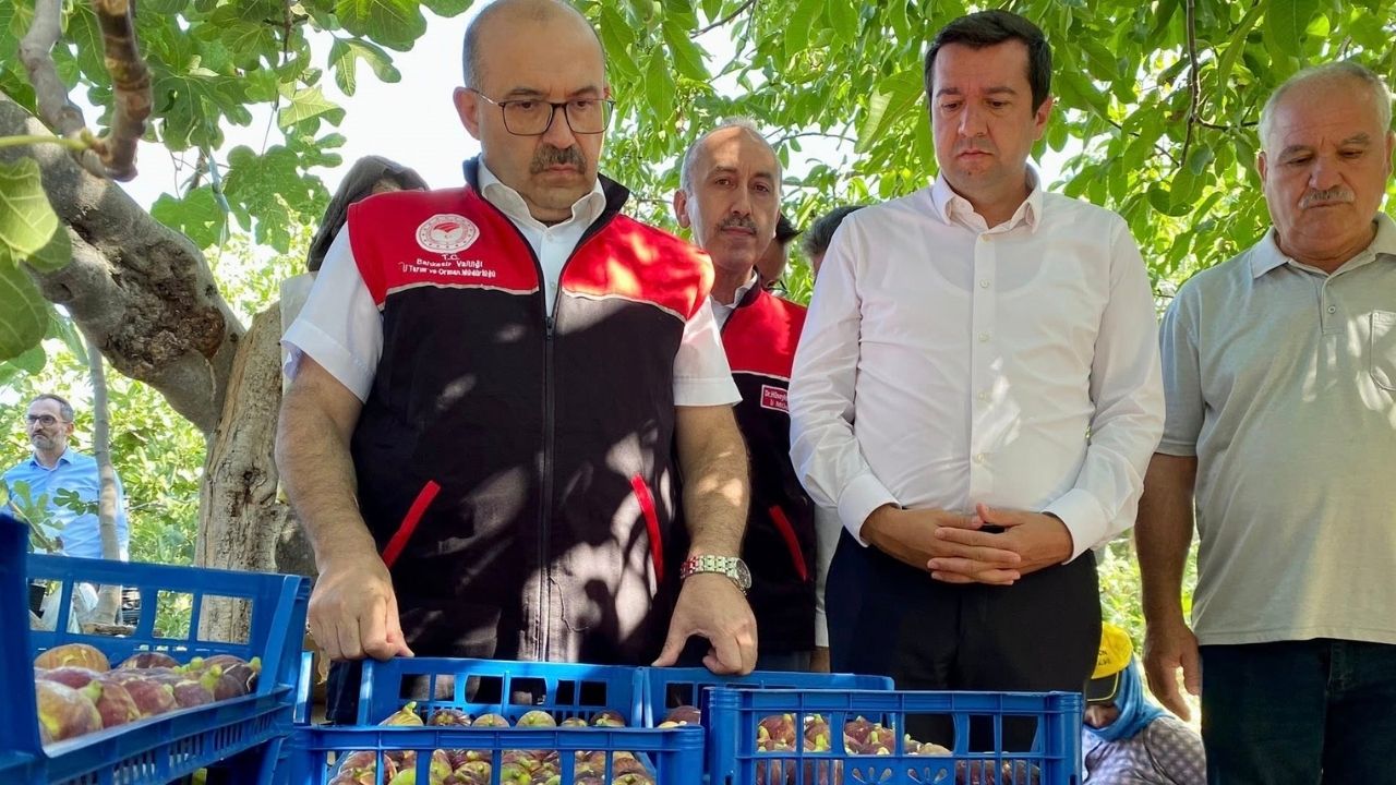 Bir Başlık Ekleyin-420