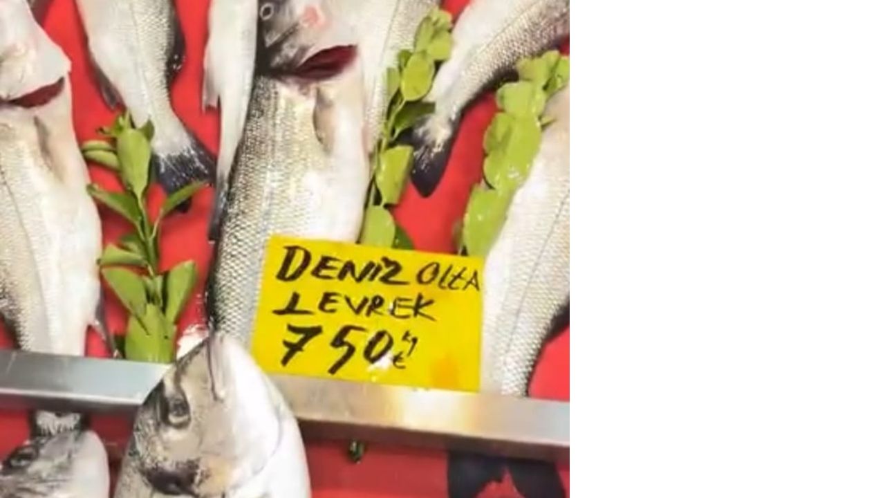 Bir Başlık Ekleyin (7)-82