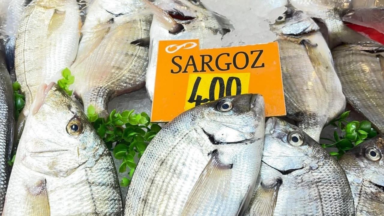 Bogaz Gazetesi Haber 2025 08 01T151352.472