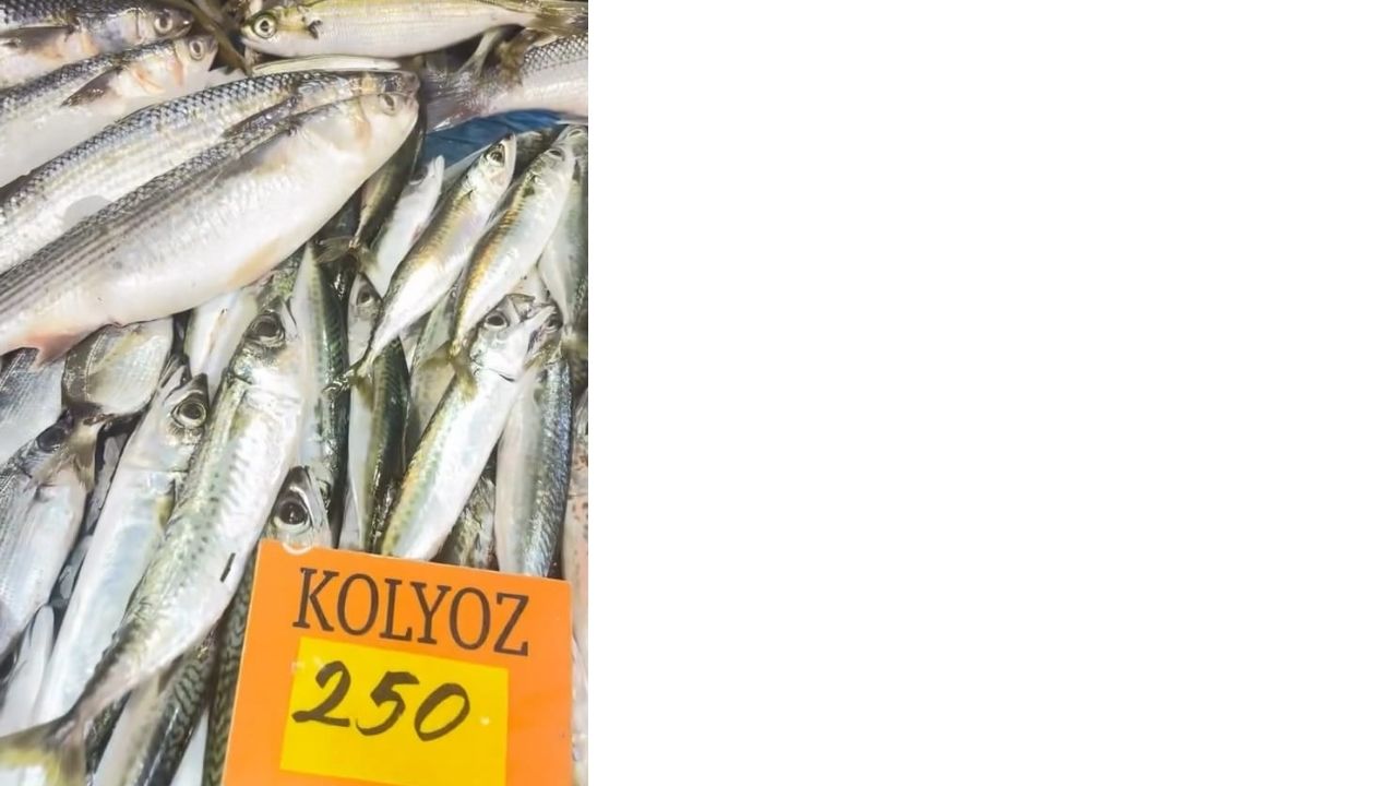 Bogaz Gazetesi Haber 2025 08 02T133028.008