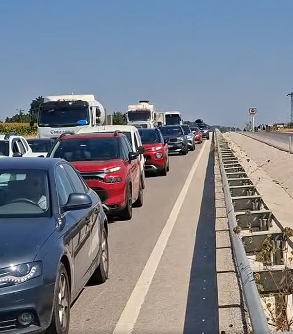 Tır1113