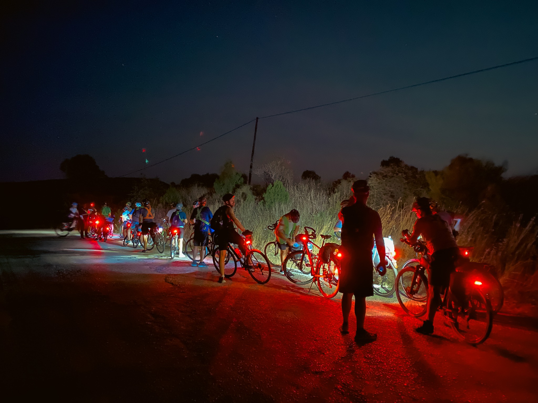 Tur1