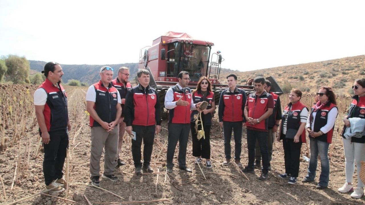 Bir Başlık Ekleyin (1)-301