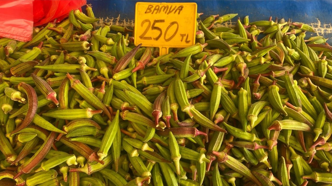 Bir Başlık Ekleyin (2)-195