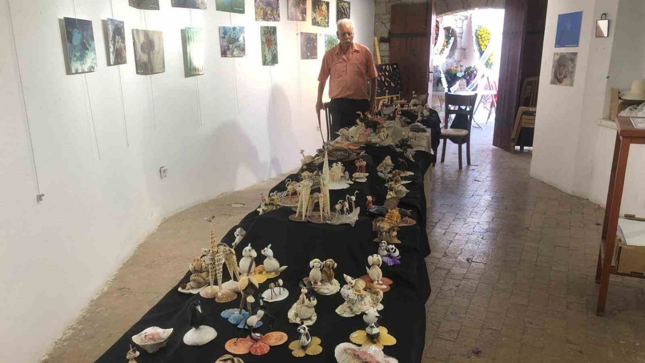 Bir Başlık Ekleyin-514