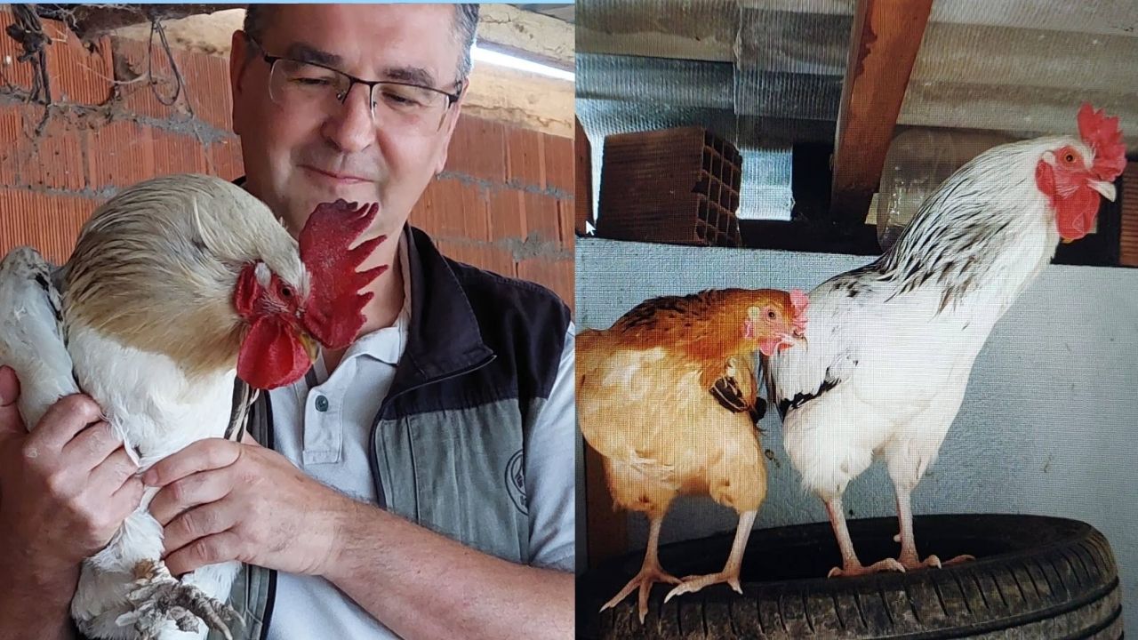 Çanakkale Ak Parti İl Başkanlığından Büyükkongreye Davet (2)-14