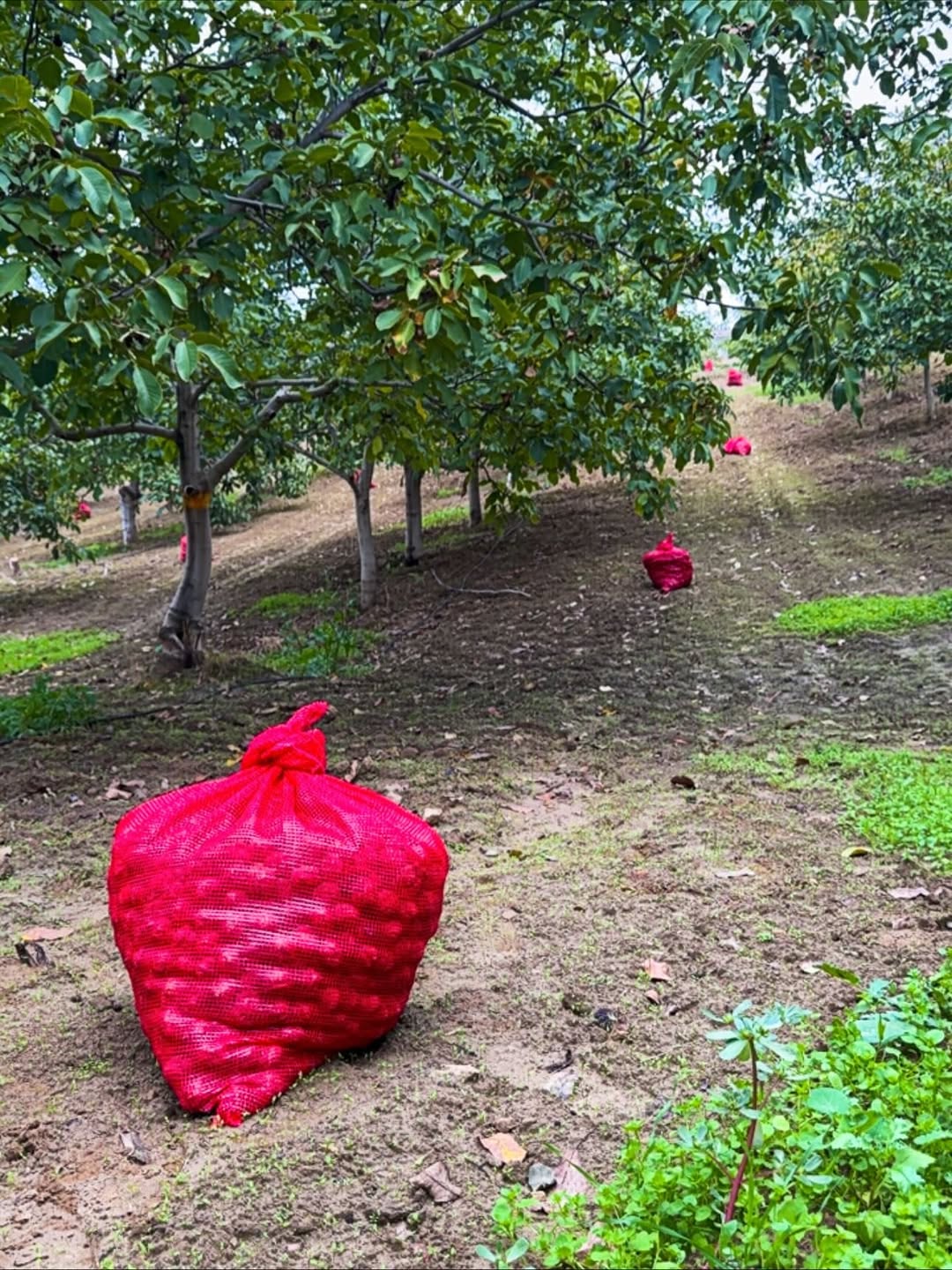12 Fotoğraf Çok Şey Anlatıyor. 14Ekim2025 (1)