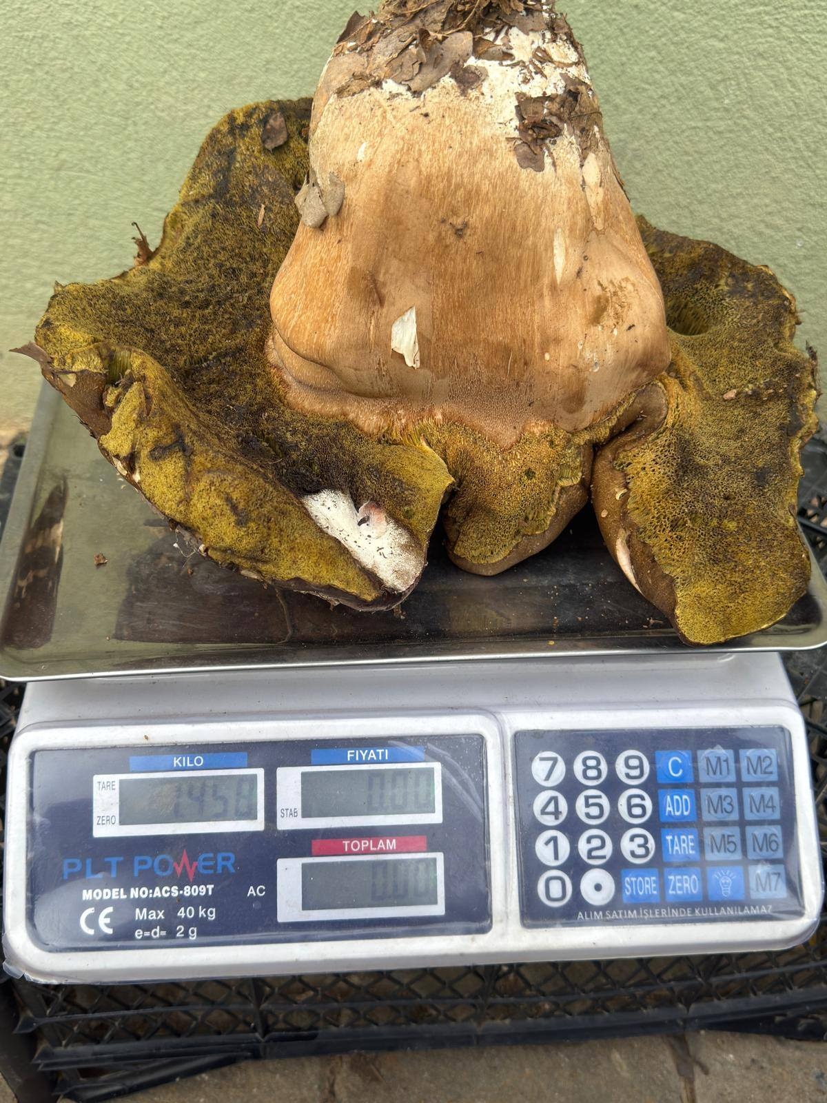 40230E49 3660 4E31 9688 094Cd459Fa5F