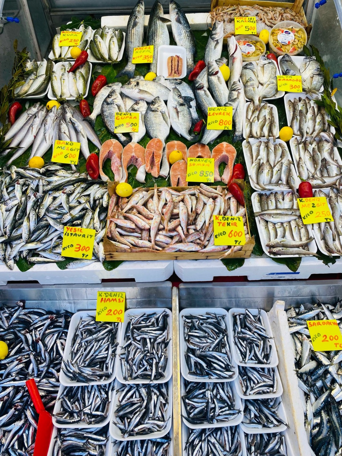 44F03865 B4C2 45De A37C 7Acd91242E27