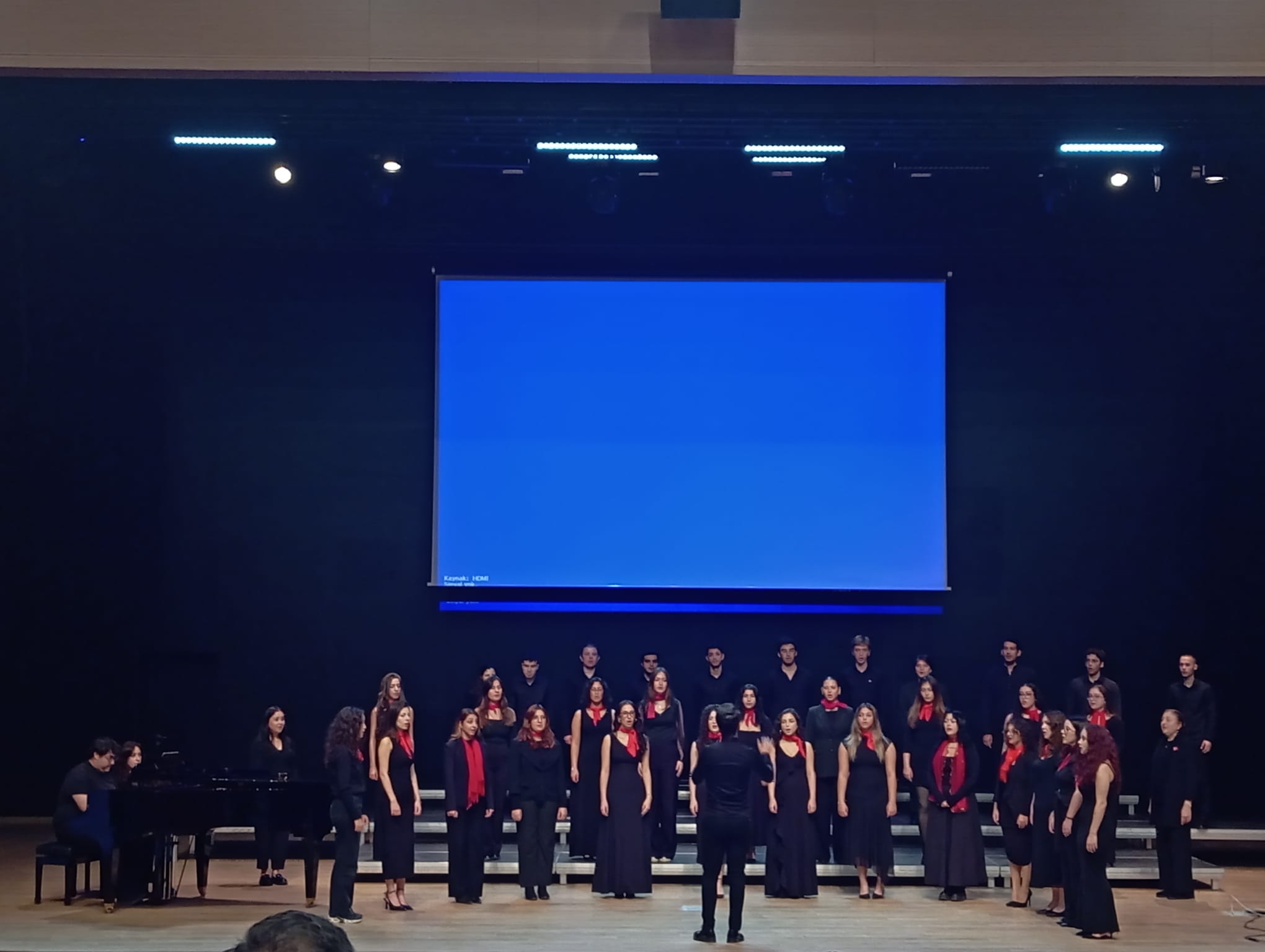 828De1A3 39A2 45Fd B16B E0B33509B0Cf