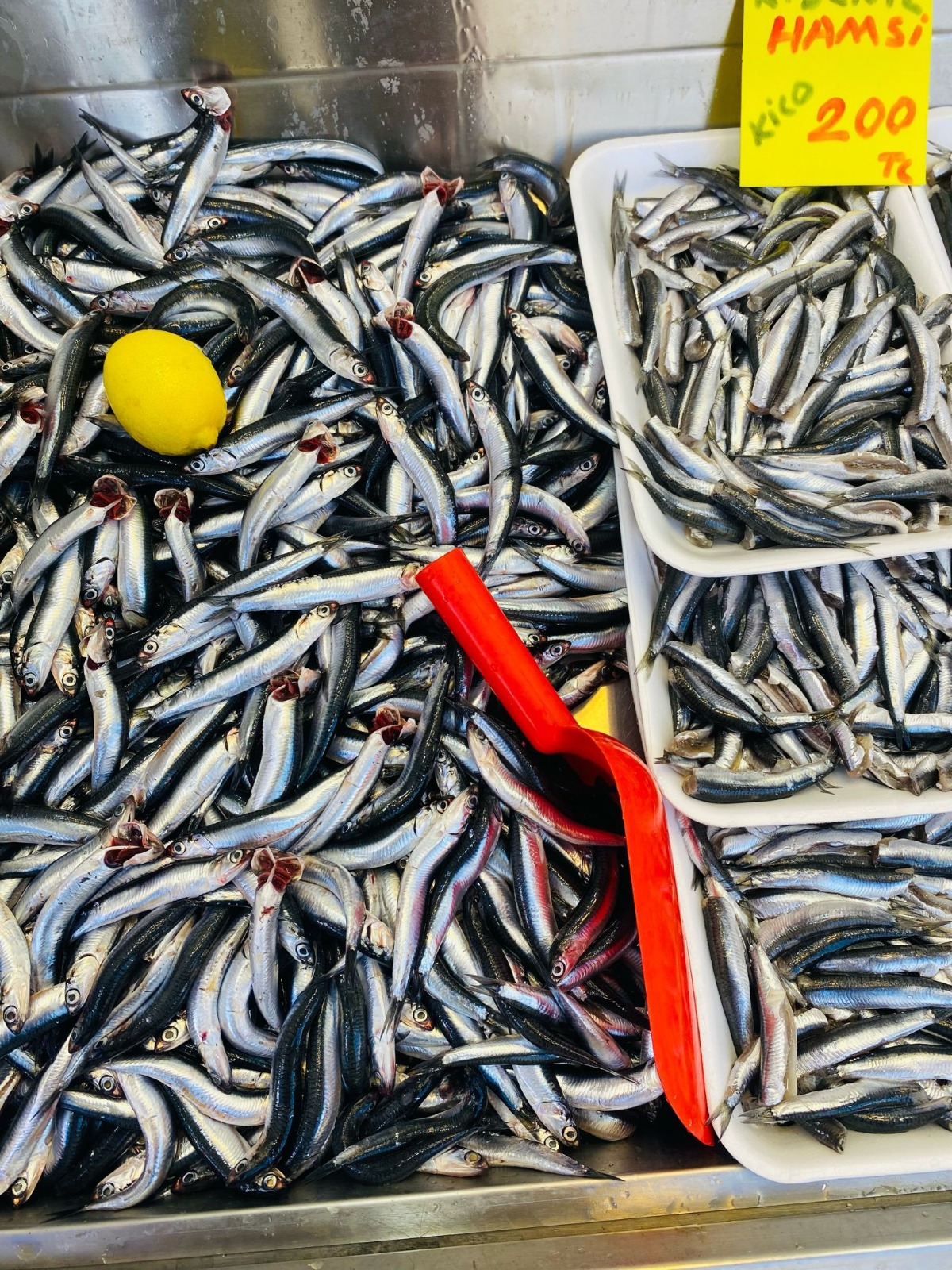 Bb412B7A A5E9 4564 B3A2 F08Dddfdd526