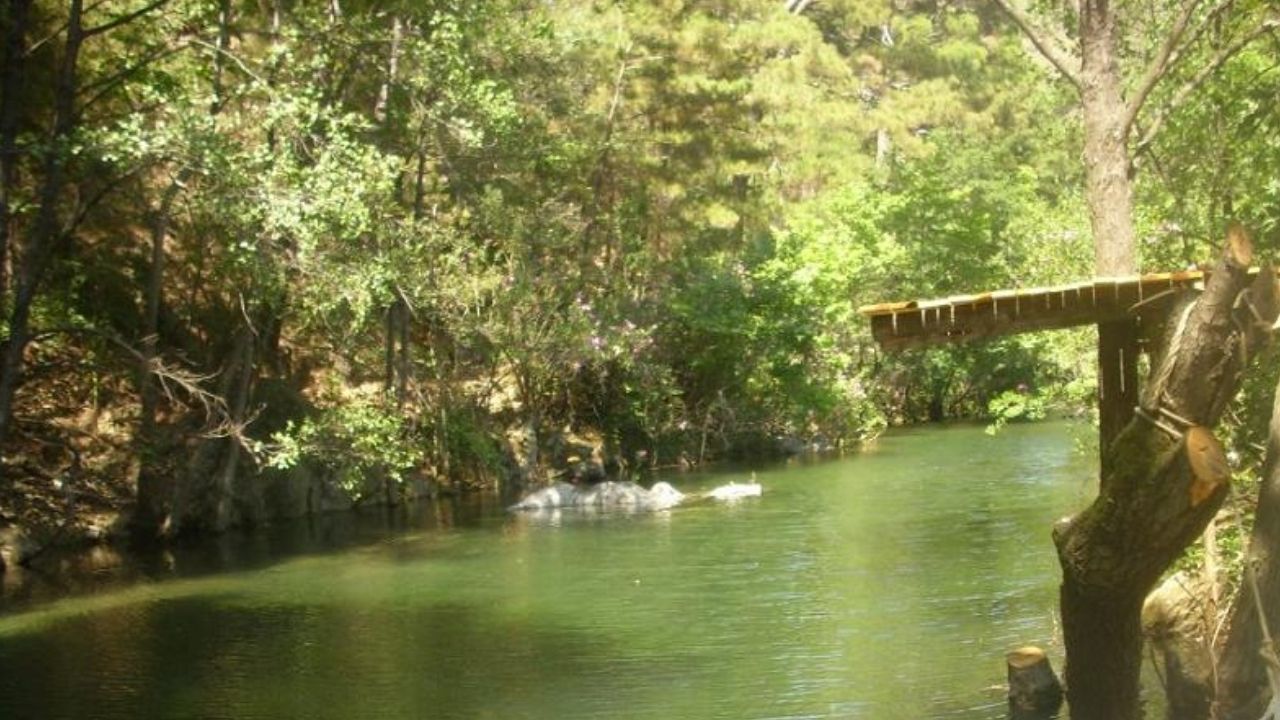 Bir Başlık Ekleyin (1)-306