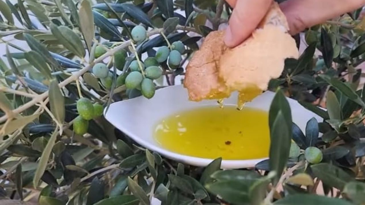 Bir Başlık Ekleyin (12)-74