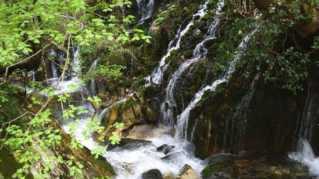 Bir Başlık Ekleyin (4)-171