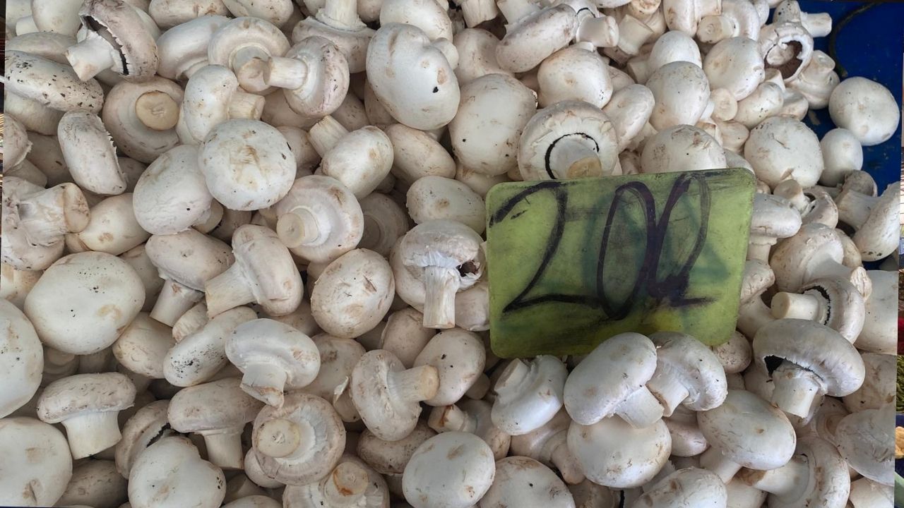 Çanakkale Ak Parti İl Başkanlığından Büyükkongreye Davet (12)-5