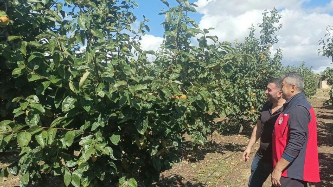 Çanakkale Ak Parti İl Başkanlığından Büyükkongreye Davet (15)-2