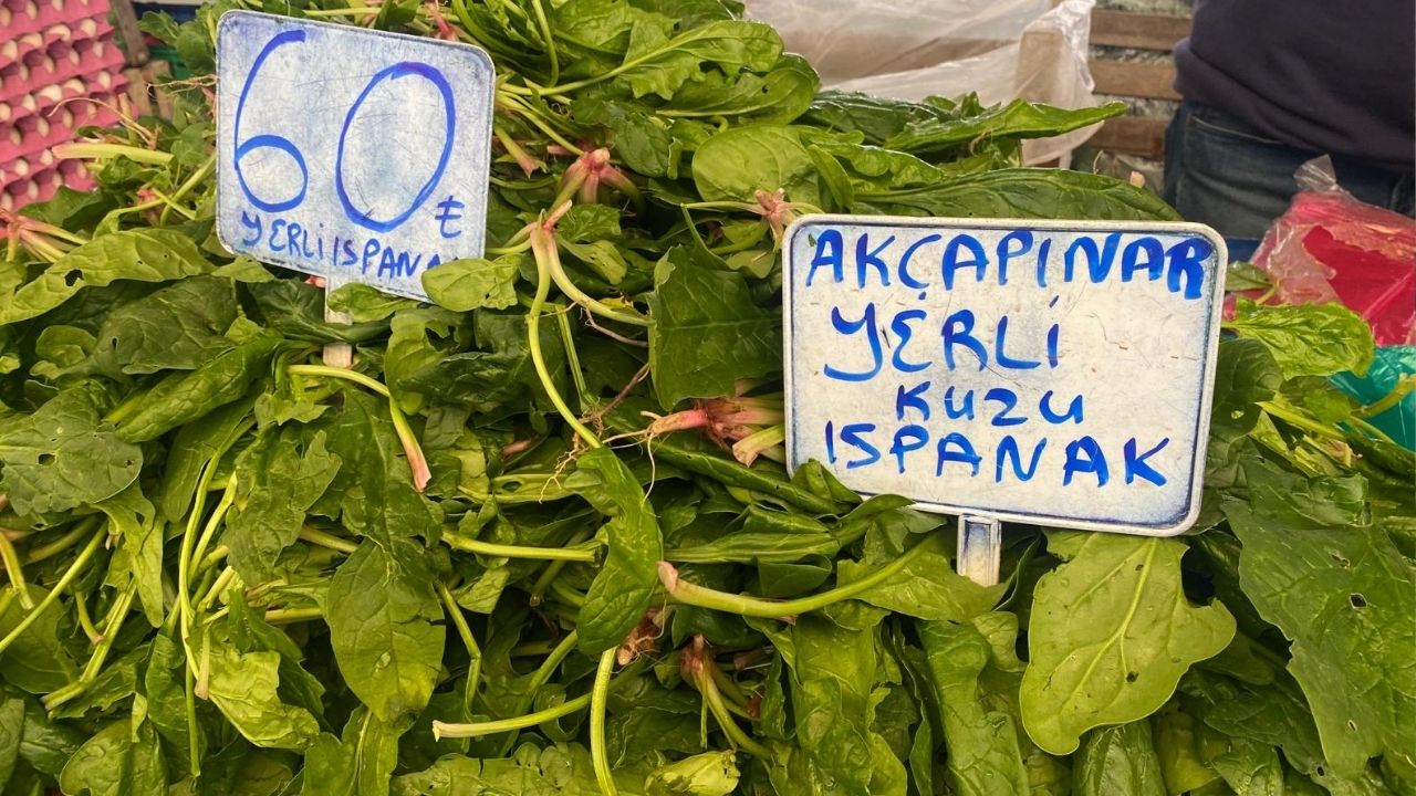 Çanakkale Ak Parti İl Başkanlığından Büyükkongreye Davet (15)-4