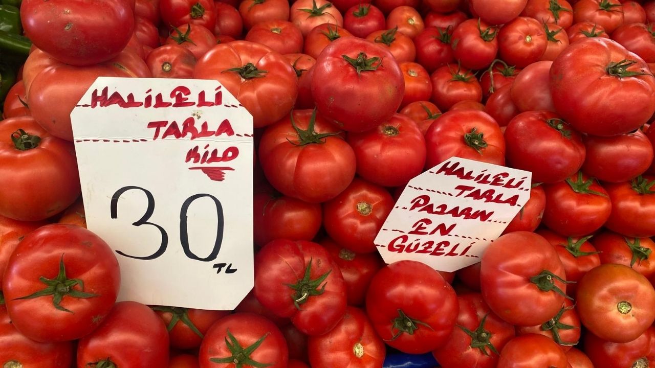 Çanakkale Ak Parti İl Başkanlığından Büyükkongreye Davet (16)-2