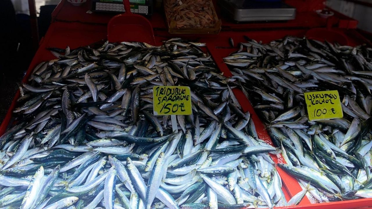 Çanakkale Ak Parti İl Başkanlığından Büyükkongreye Davet (18)-1