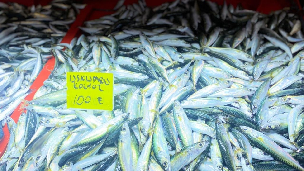 Çanakkale Ak Parti İl Başkanlığından Büyükkongreye Davet (19)-3