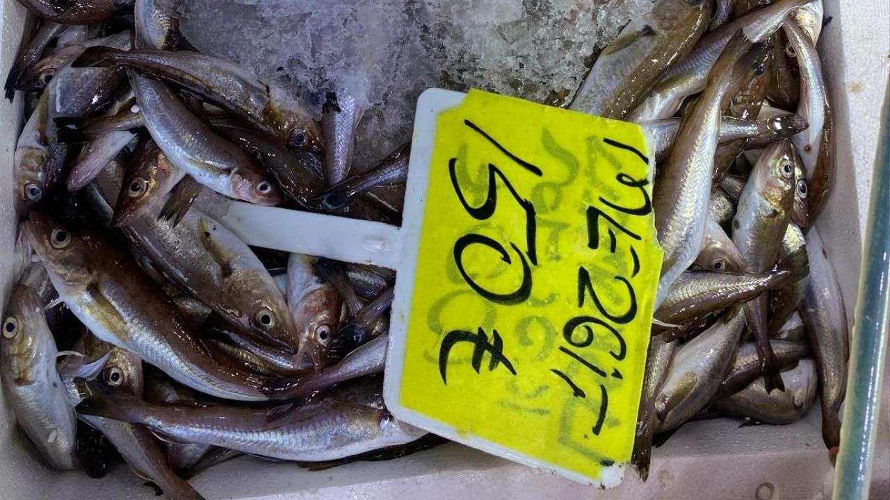 Çanakkale Ak Parti İl Başkanlığından Büyükkongreye Davet (20)