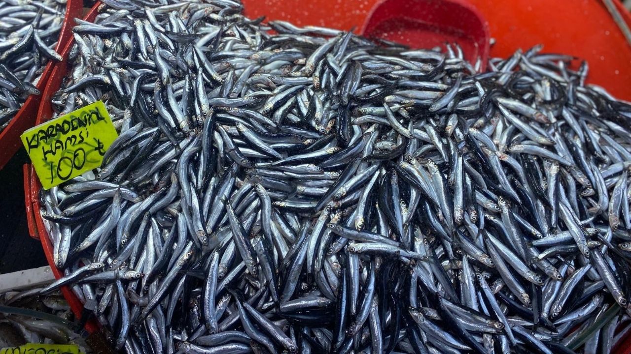 Çanakkale Ak Parti İl Başkanlığından Büyükkongreye Davet (21)