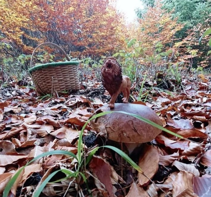 D4B6483A 9323 4F21 8A2C Bca9D8034B55