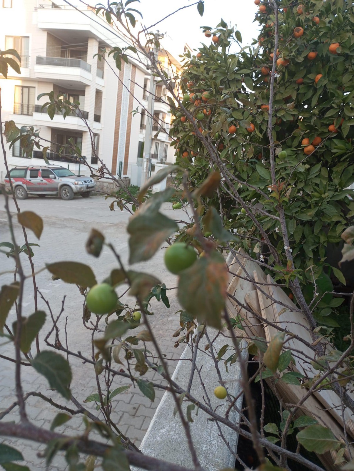 069De048 9B99 446F Af89 D260596671D1