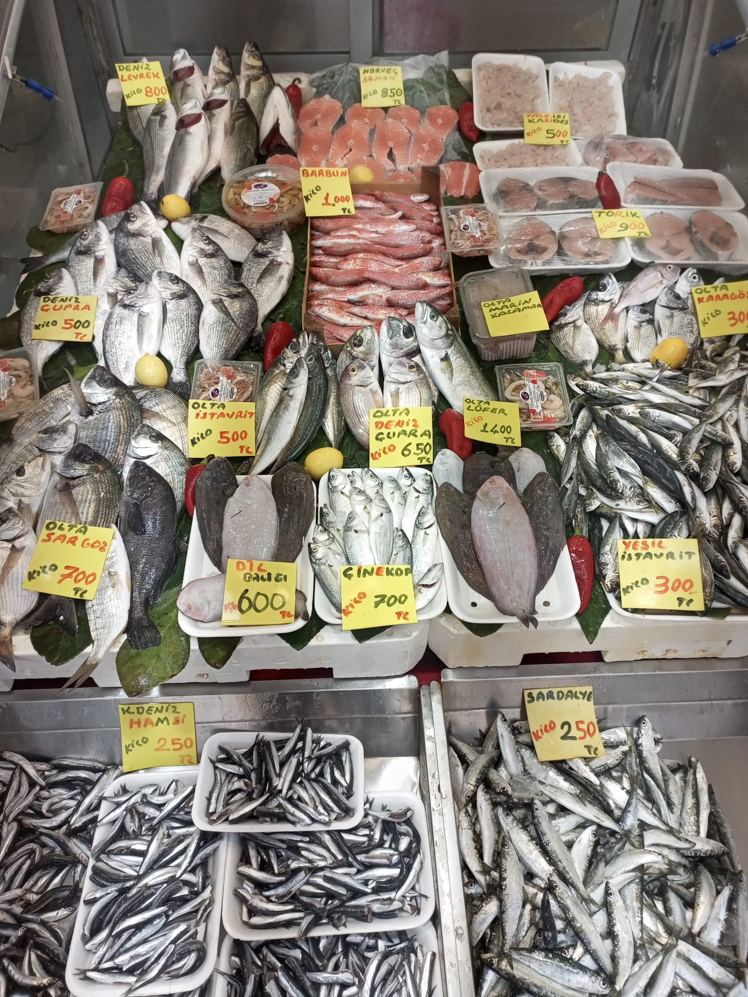 13Db2F8F 8Ba6 49B7 Bf2E Efd6B18F108D