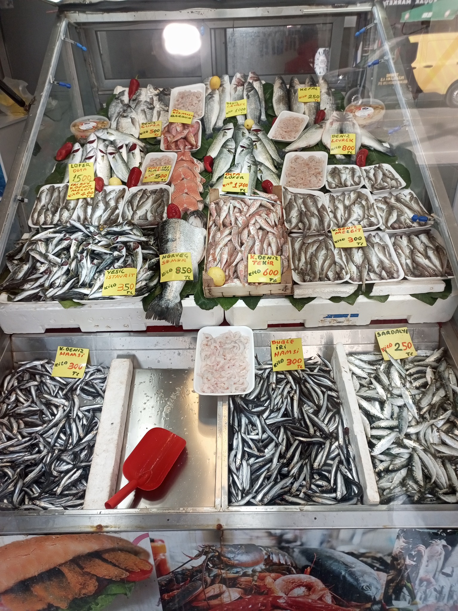 572435761 1178455147751986 327512124545099649 N