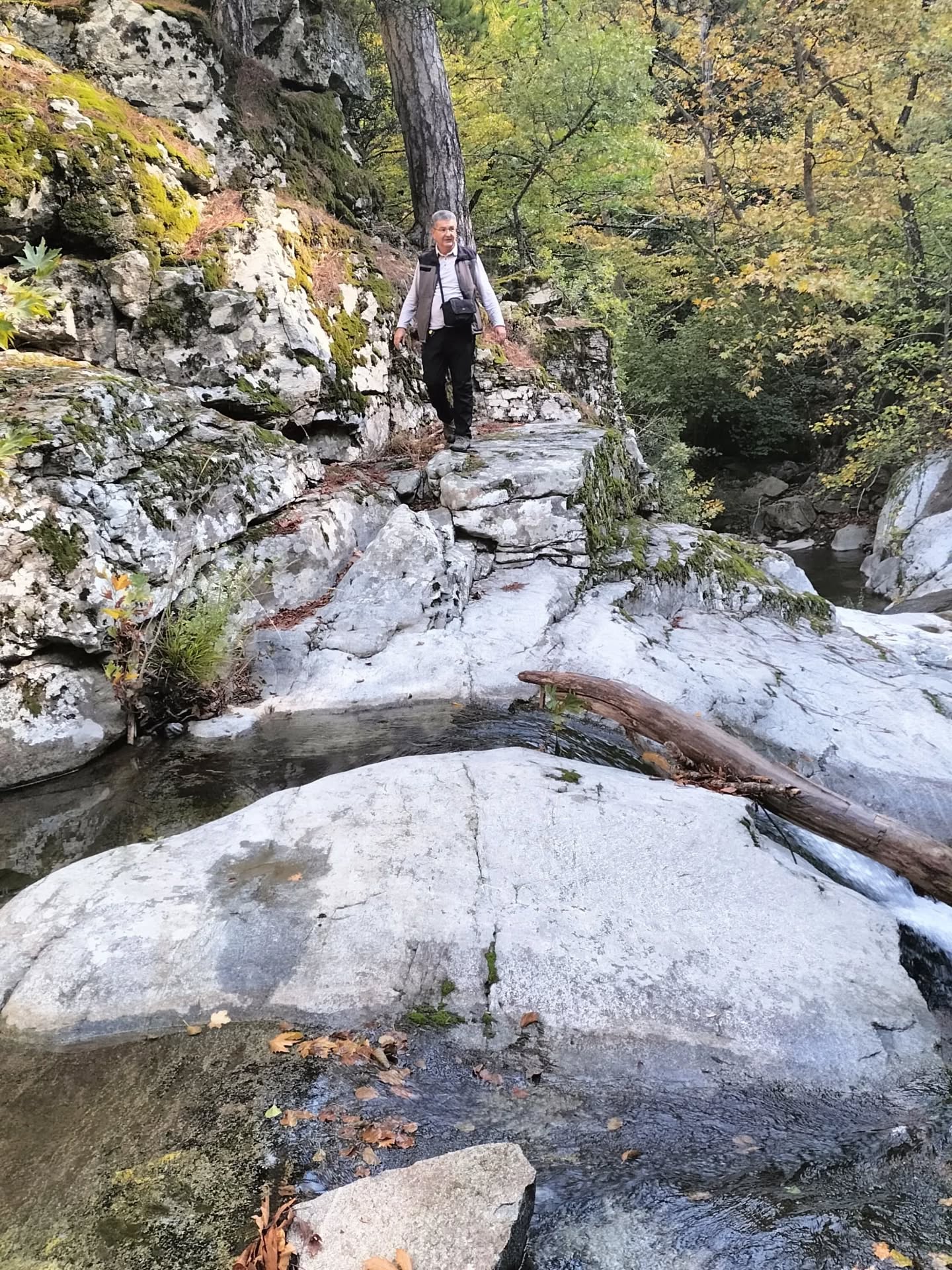 572777229 18546807283039216 5116814899168233178 N