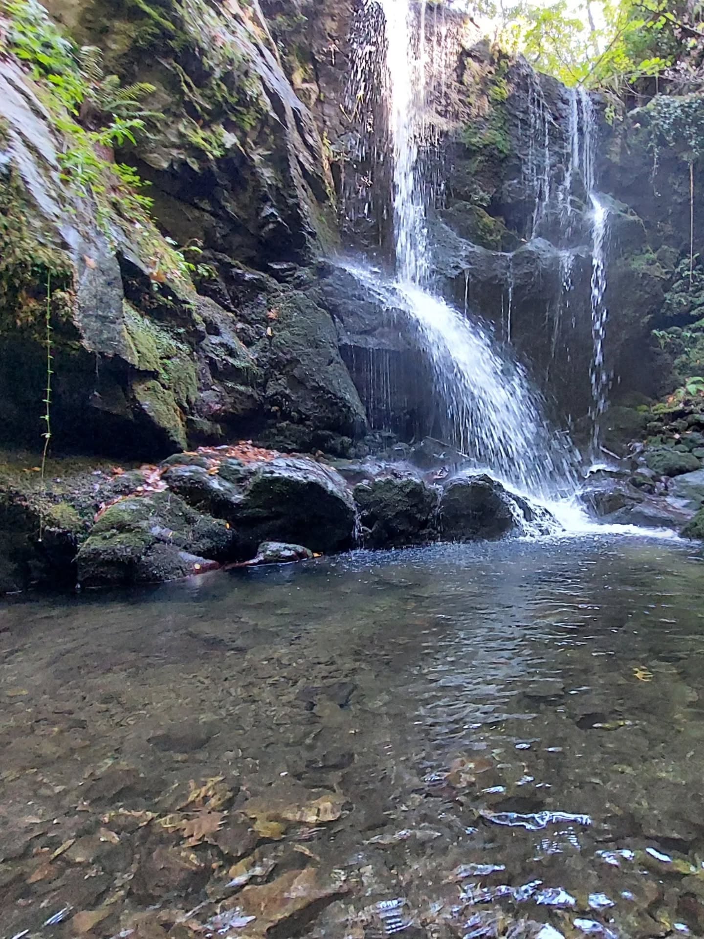 572943656 18546807145039216 8122858302604212396 N