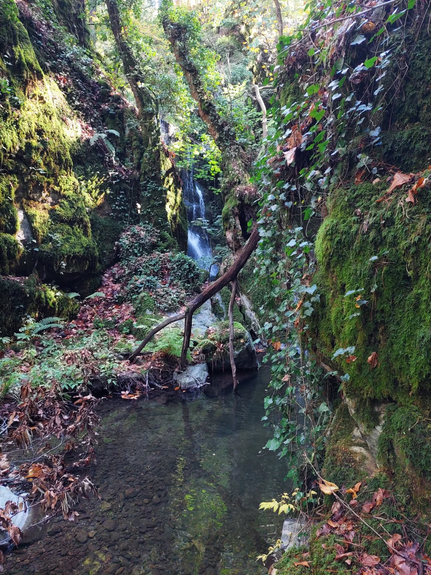 573105914 18546807193039216 3322791717381758575 N