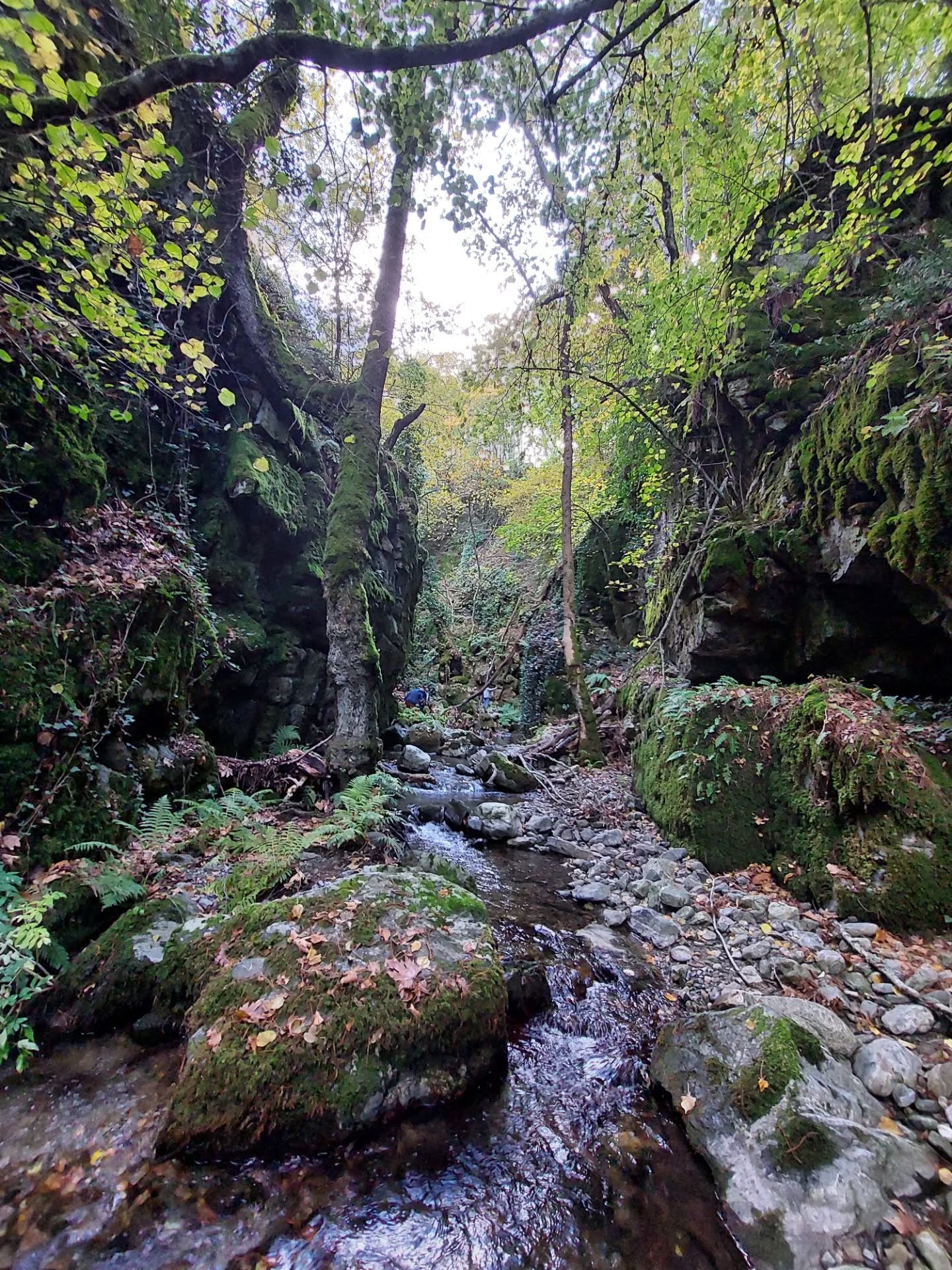 573417953 18546807301039216 1392861874345552855 N