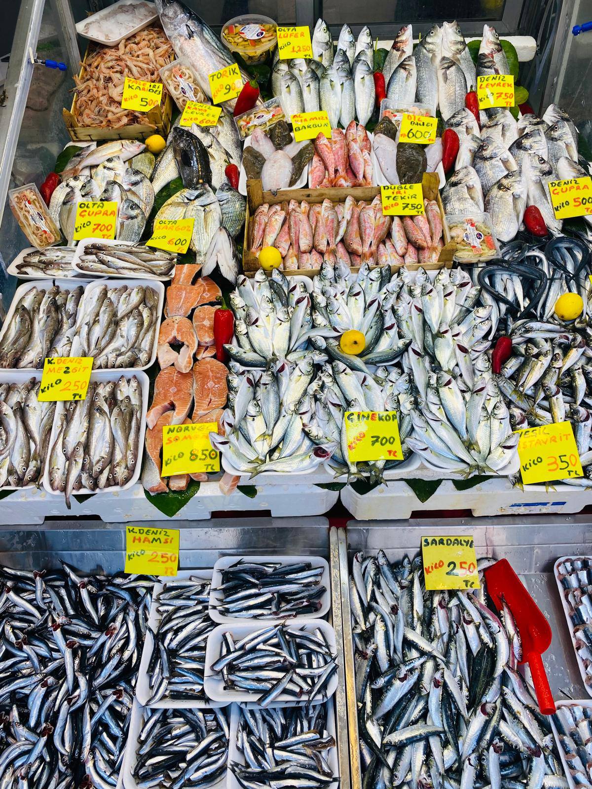 573435151 1180177294246438 1150958120923746482 N