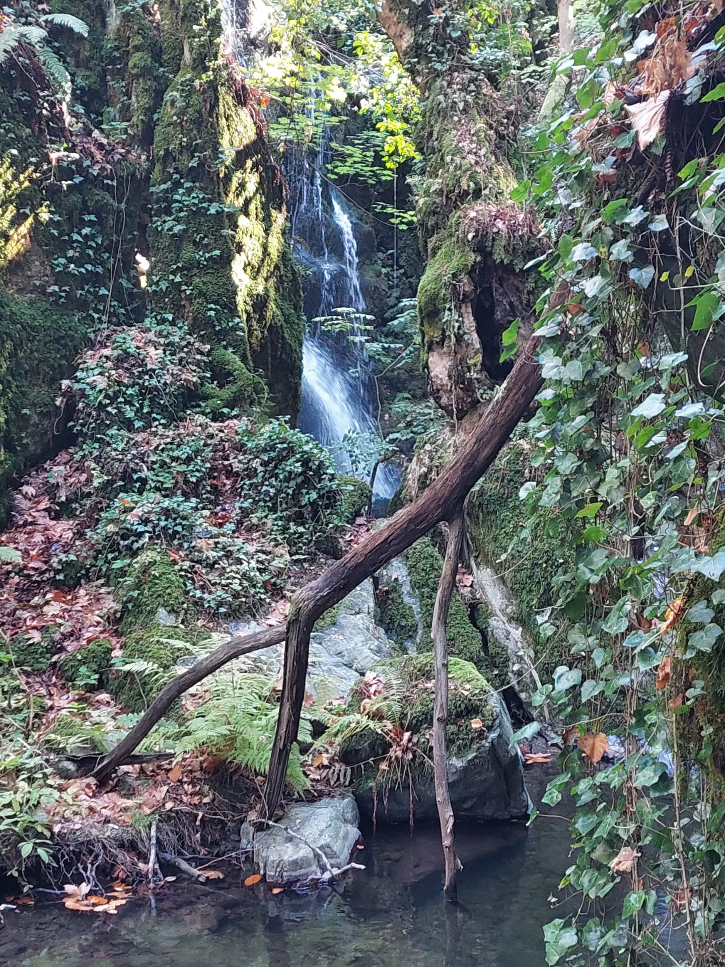 573522125 18546807175039216 56486970911307471 N