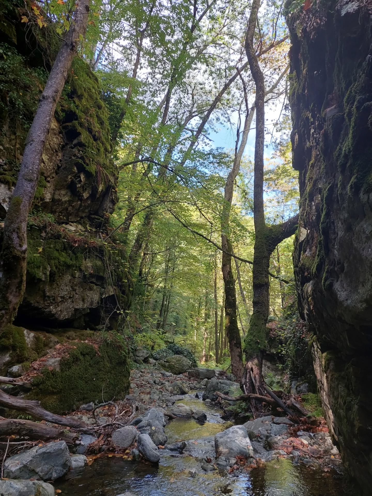 573845758 18546807250039216 3151859072294155510 N